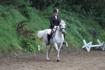 Bild 375 - WBO-Turnier am 18.9.11
